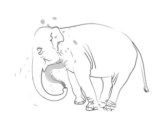 éléphant se douchant