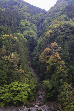 徳島県つるぎ町　鳴滝