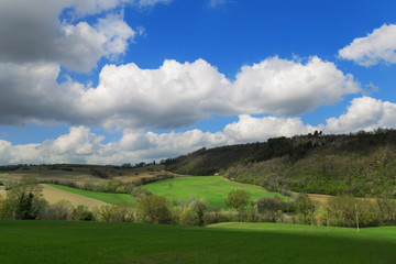 Fototapeta na wymiar Countryside landscape, green fields in spring day