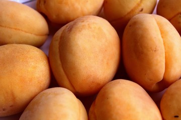 Fresh apricots are a group and individually on the plate and in a human hand.