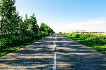 Going up the asphalt road. On the sides of the road can be clearly seen the tall trunks of the hogweed plant.