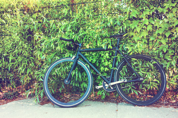 Fototapeta na wymiar modern singlespeed or fixie bicycle leaning on a green plant wall