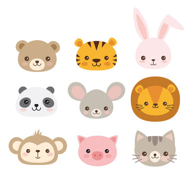 Cute animal faces. A set of vector illustrations of cartoon animal heads including bear, pig, mouse, monkey, panda, lion, tiger, rabbit, cat.