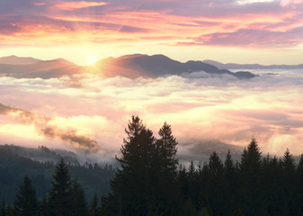 Foggy houses in Verkhovyna