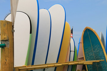 Many surfboards ready for fun