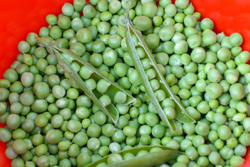 Fototapeta na wymiar Green peas.Fresh Homemade Peas.