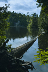 Evert Fletes Photography. Copyright 2017 © Everth