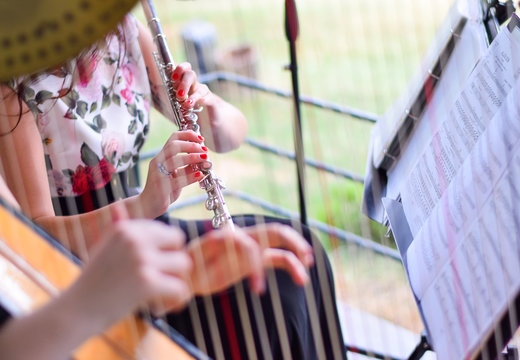 concerto di arpa e flauto traverso