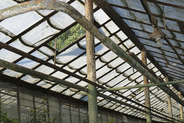 Roof of a hothouse room