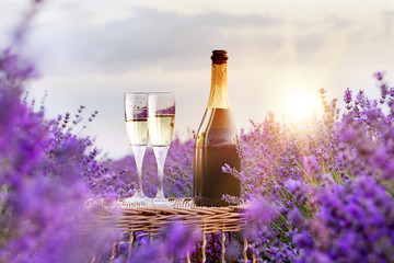 Delicious champagne over lavender flowers field. Violet flowers on the background. © Kotkoa