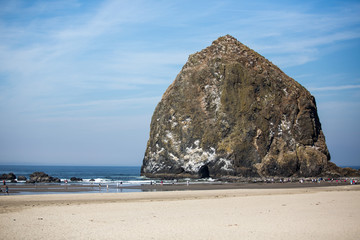 Fototapeta na wymiar Haystack rock in the water on the beach
