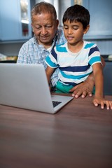 Obraz premium Grandfather with boy using laptop