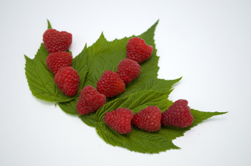 Bright red fresh raspberries, from a family orchard. The raspberry type is Polana © mr2853
