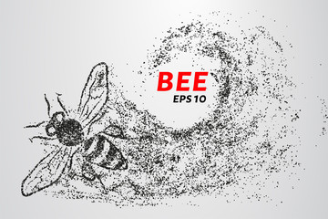 Bee of the particles. The bee consists of small circles and dots. Vector illustration.