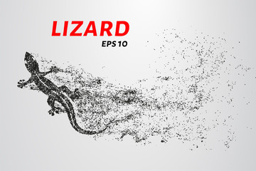 Fototapeta na wymiar Lizard of particles. Silhouette of a lizard is of little circles.