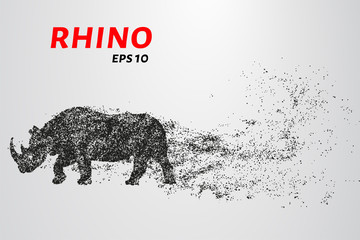 Rhino of the particles. Rhino consists of small circles.