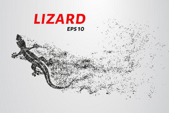 Lizard of particles. Silhouette of a lizard is of little circles.