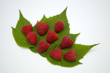 Bright red fresh raspberries, from a family orchard. The raspberry type is Polana © mr2853