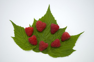 Bright red fresh raspberries, from a family orchard. The raspberry type is Polana © mr2853