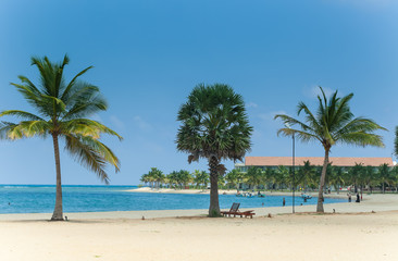 Palm Beach Ocean Sri Lanka