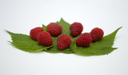 Bright red fresh raspberries, from a family orchard. The raspberry type is Polana © mr2853