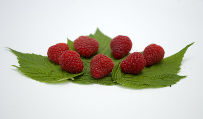 Bright red fresh raspberries, from a family orchard. The raspberry type is Polana