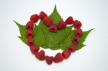 Bright red fresh raspberries, from a family orchard. The raspberry type is Polana © mr2853