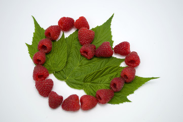 Bright red fresh raspberries, from a family orchard. The raspberry type is Polana © mr2853