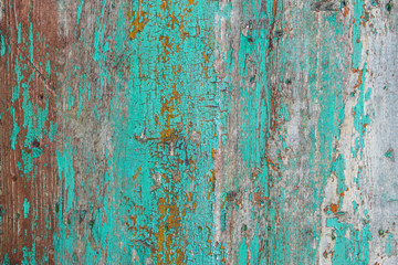 Cracked old wooden wall with textured paint, bright background close up