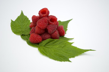 Bright red fresh raspberries, from a family orchard. The raspberry type is Polana © mr2853