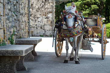 Sicilian cart with white horse. Carries typical Sicilian objects. Erice - 163048502