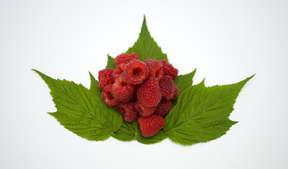 Bright red fresh raspberries, from a family orchard. The raspberry type is Polana © mr2853