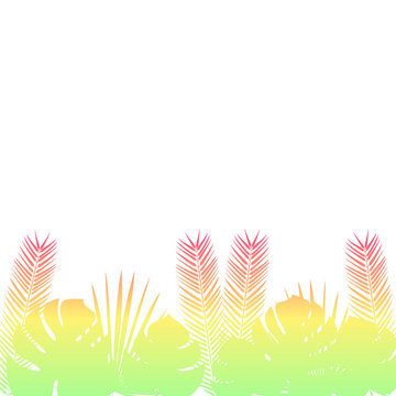 Palm leaves Vector illustration Poster template with silhouette of palm leaves in gradient colors on white background