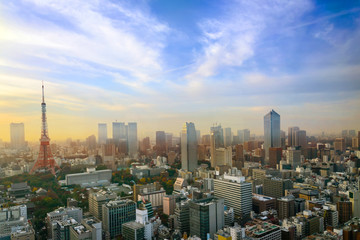 Fototapeta na wymiar Cityscape of Tokyo, city aerial skyscraper view of office building and downtown of tokyo with sunset / sun rise background. Japan, Asia, Tokyo is metropolis and center of new world's modern busniess