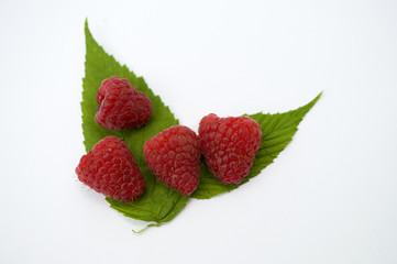 Bright red fresh raspberries, from a family orchard. The raspberry type is Polana © mr2853