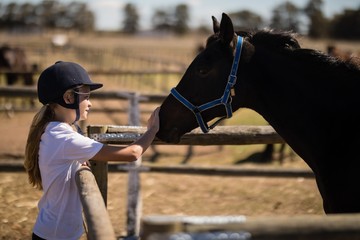Obraz premium Girl stroking a brown horse in the ranch