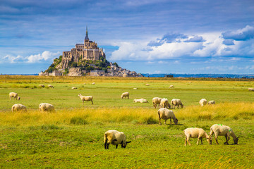 Le Mont Saint-Michel with sheep grazing on green meadows in summer, Normandy, France - obrazy, fototapety, plakaty