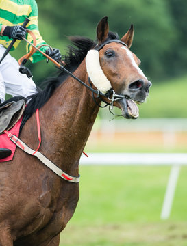 jockey pulling on the reins of a race horse 