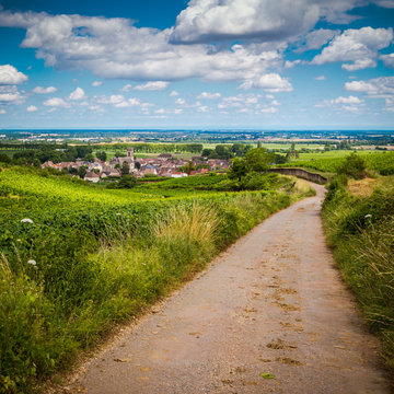 village viticole