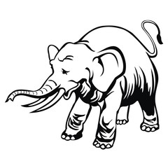 elephant