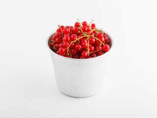Red currant