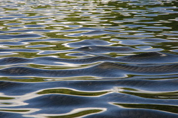 Green reflexes and transparency of the lake