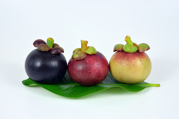 Mangosteens on white background.