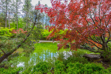 Colorful park in Japanese style. Manito Park and Botanical Gardens, Spokane, Washington, United States