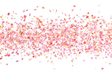 Colorful Flower Petals in Air