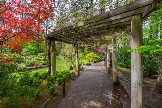 Colorful park in Japanese style. Manito Park and Botanical Gardens, Spokane, Washington, United States
