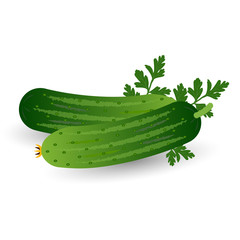 Realistic Cucumber With Parsley Isolated On A White Background.