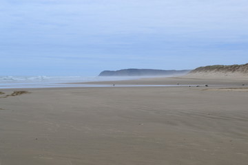 Fototapeta na wymiar sand dunes in New Zealand