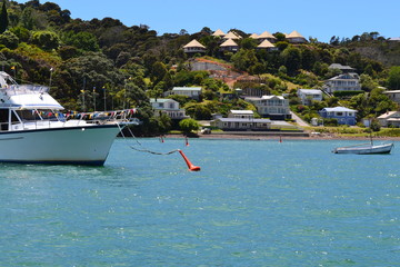 Fototapeta na wymiar yacht in New Zealand