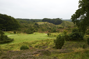     Landscape and lovely nature in Rebild Hills in Denmark  